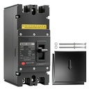DISYUNTOR MAGNETOTÉRMICO CC 2P 250A 1000V HESCHEN (CAJA MOLDEADA MCCB)